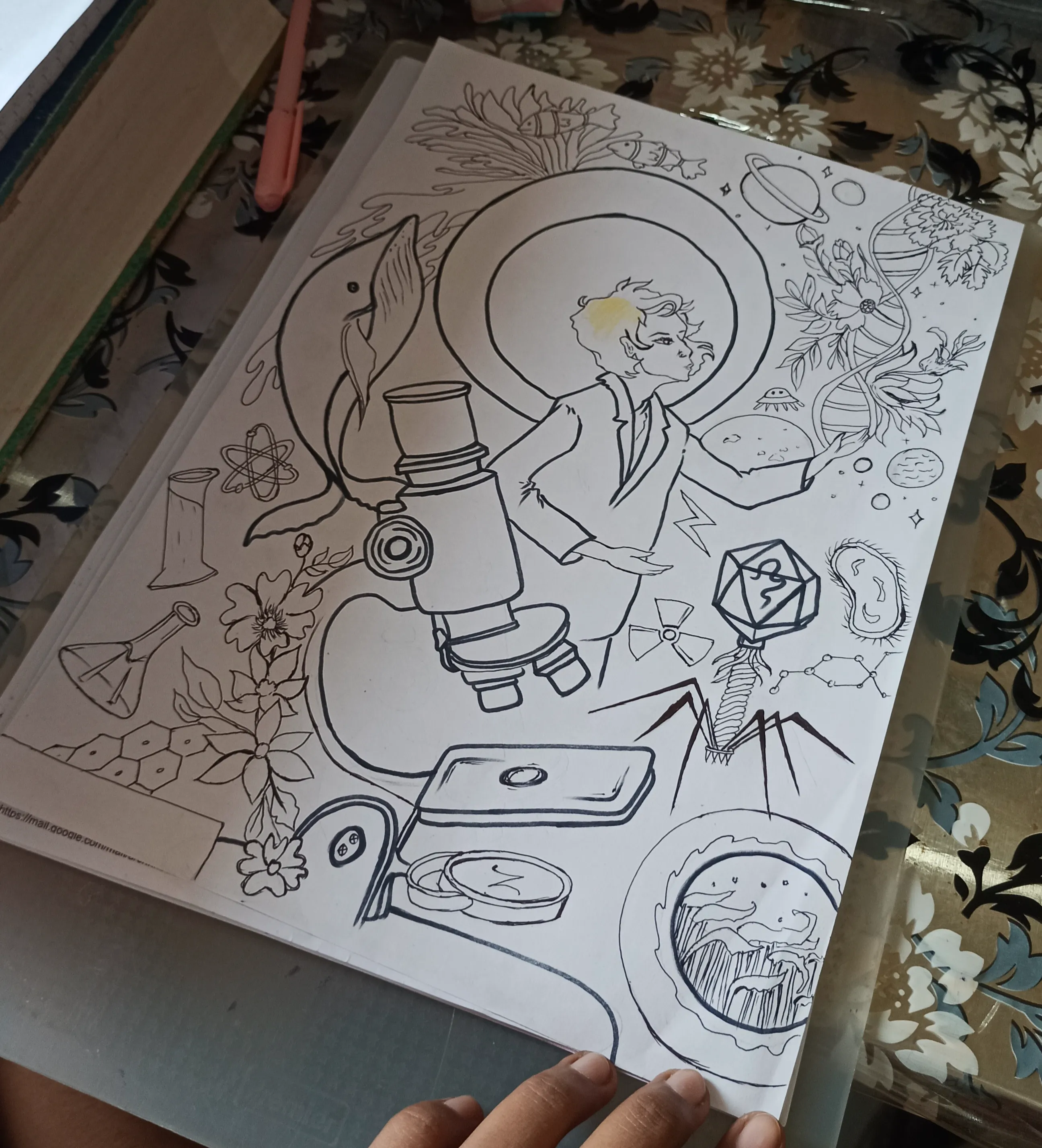 Omlet Large Pencil Sketch